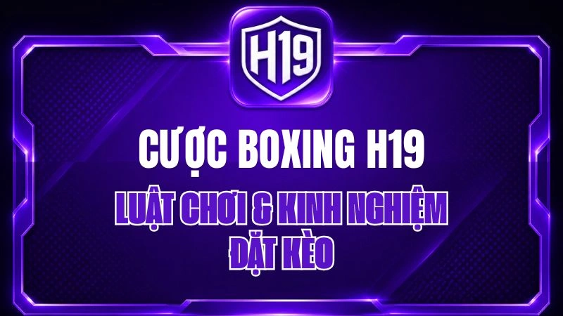 Cược Boxing H19 – Luật Chơi & Kinh Nghiệm Đặt Kèo
